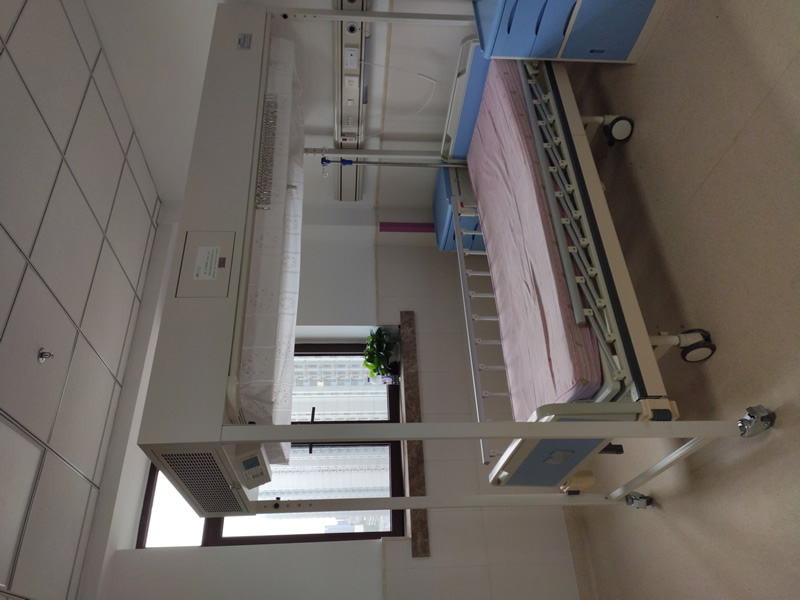 巖屑床分層流動模型